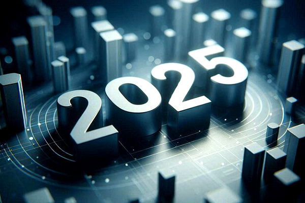 Итоги работы по профилактике коррупции 2025